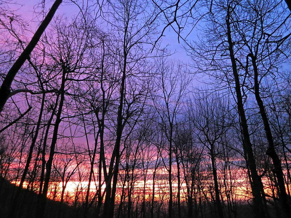 Sunrise from my hammock, Shenandoah National Park.