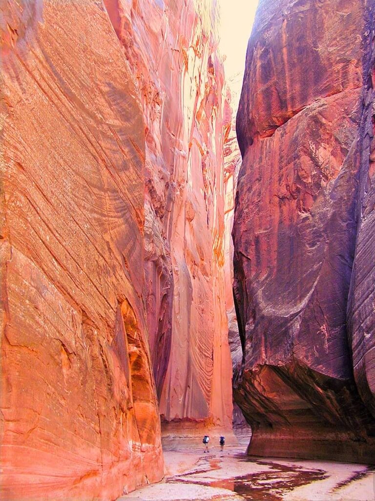 Buckskin Gulch. One of the longest, deepest and most spectacular slot canyons in the world. Many hundreds of hikers and backpacker safely walk through this canyon every year.