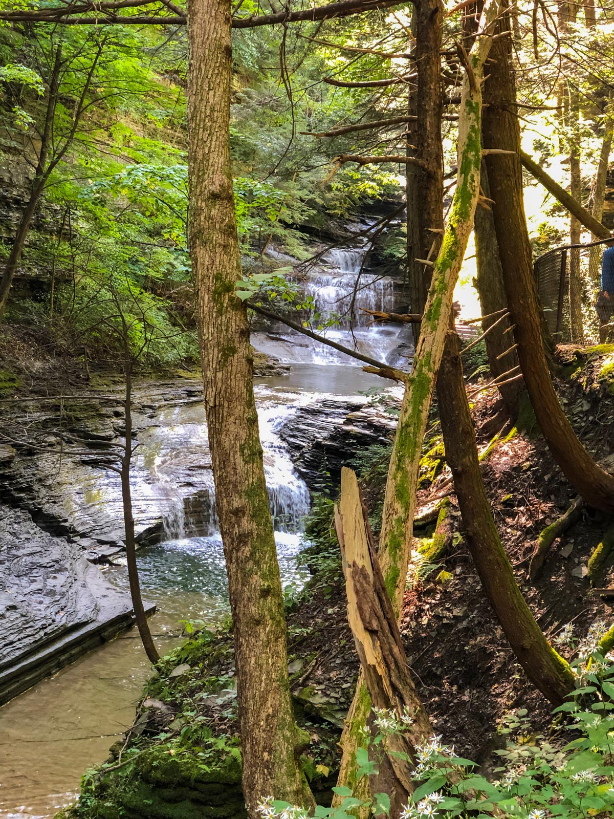 Ithaca Gorges Hikes