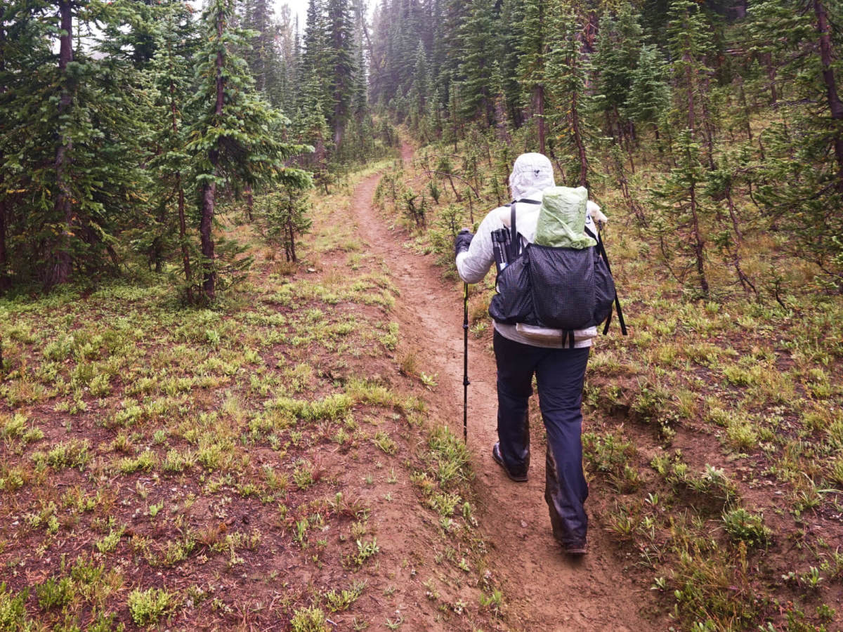 testing the best hiking rain pants in a subalpine forest