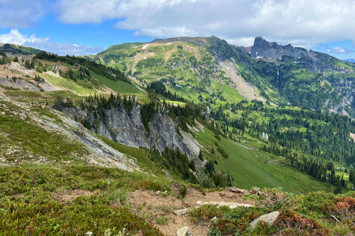 a mountain meadow contact with a mountain meadow