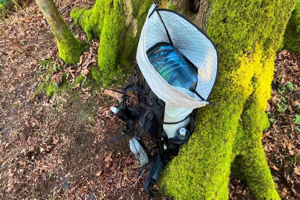 The Best Backpack For Bear Can storage sitting in the moss