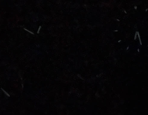 Lume-10h Lume at 10 hours