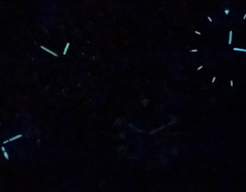 Lume-4h Lume at 4 hours