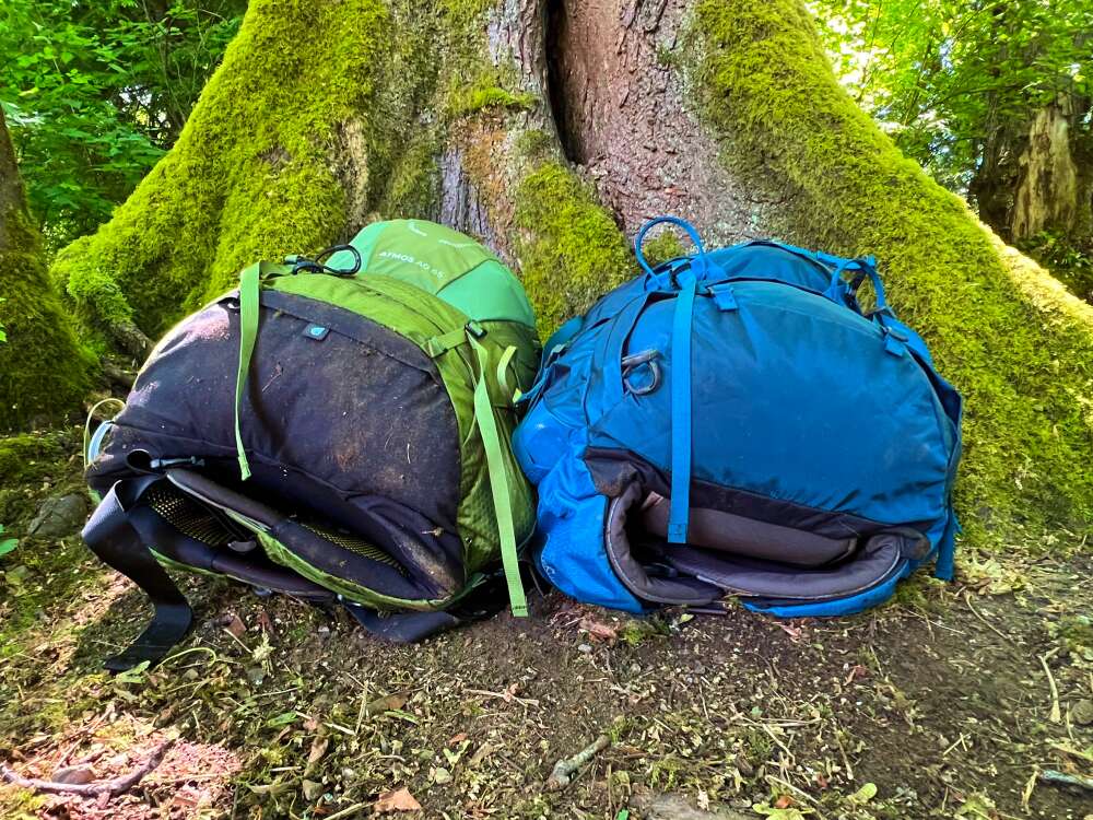26l weekend travel backpack Terra 26L Laptop Duffel Backpack in Celadon