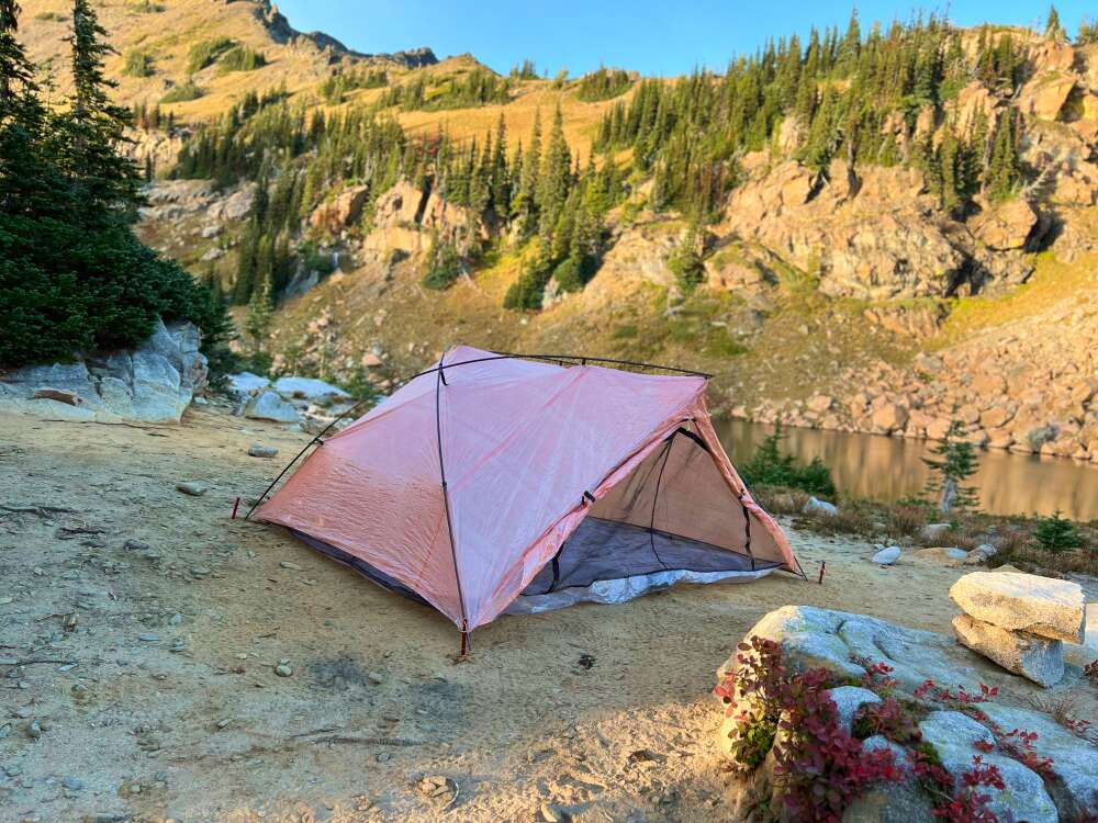 side view of free zip 3