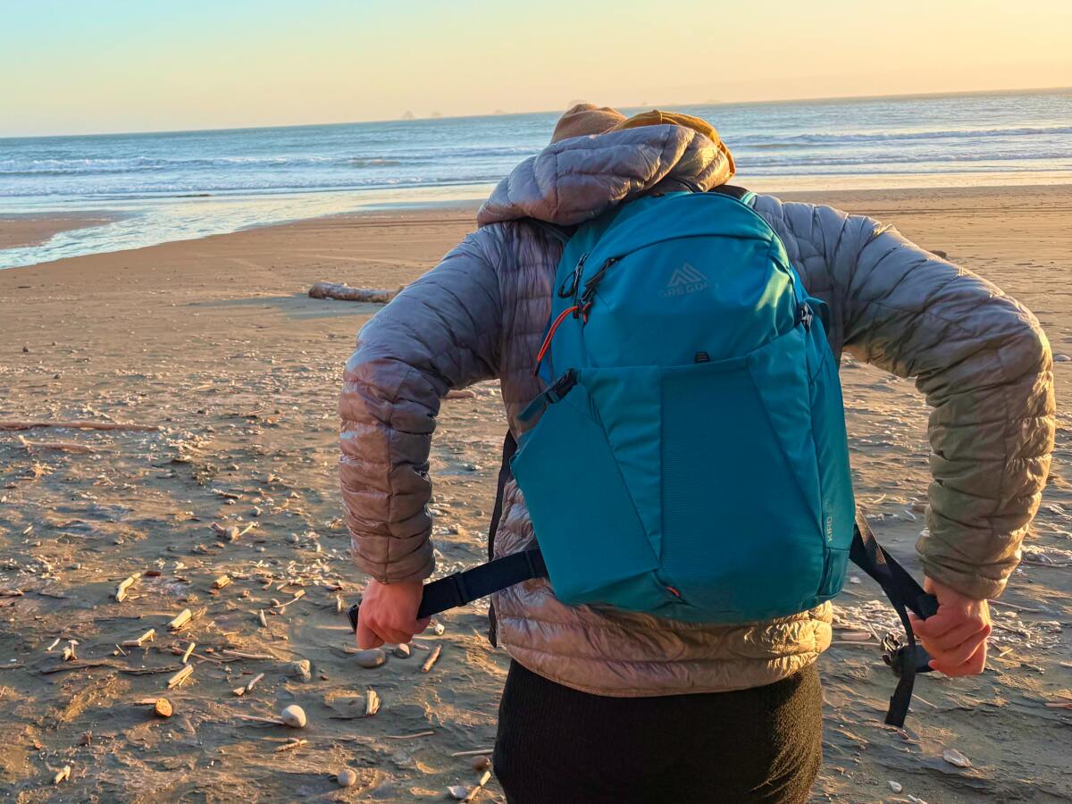 Gregory Kiro 24 Daypack-10 close up on soft stretchy hip belt