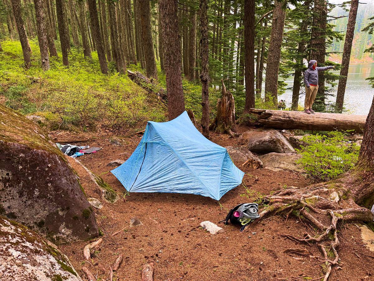 compressed-Zpacks Pivot Duo-3 testing for zpacks pivot duo tent review in the forest