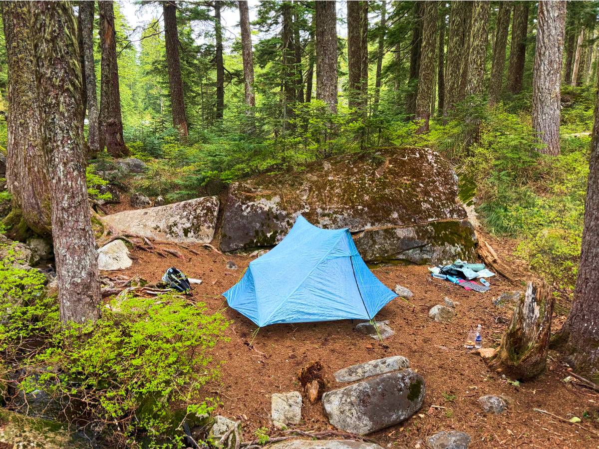 compressed-Zpacks Pivot Duo-5 zpacks pivot duo in the forest