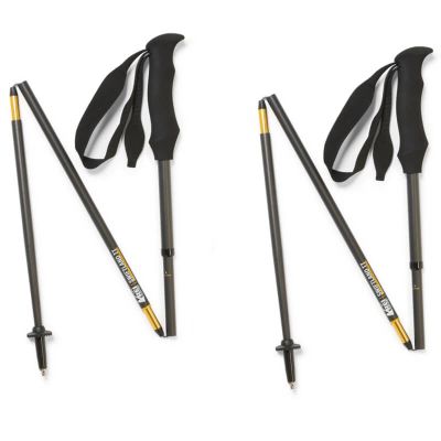 REI Co-op Swiftland TT REI Co-op Swiftland TT folding poles