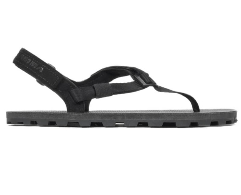 Shamma Elite Ibex Shamma Elite Ibex