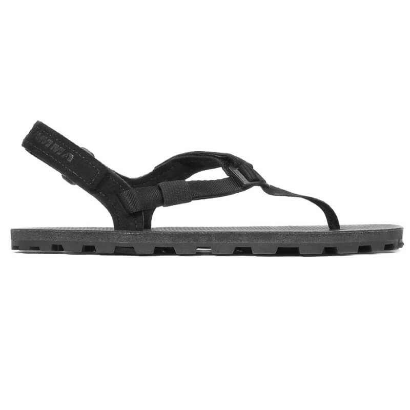 Shamma Elite Ibex Shamma Elite Ibex
