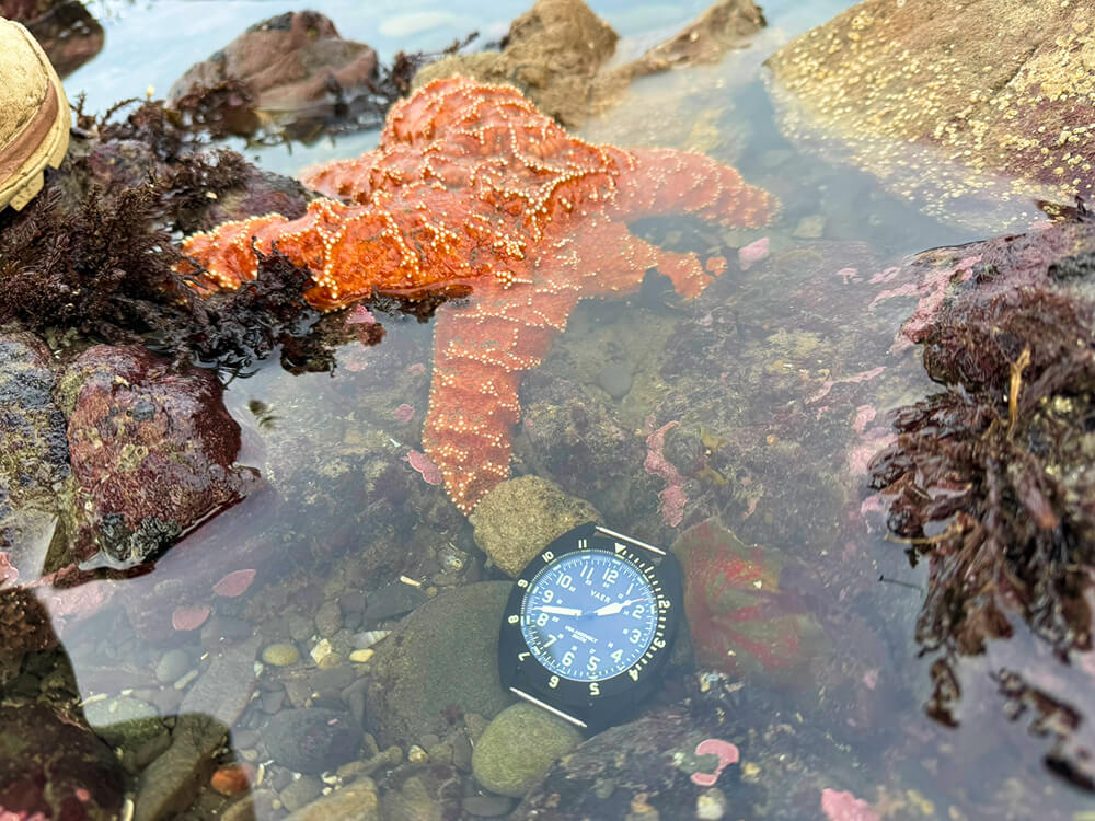 Vaer C4 Watch Review-2 vaer c4 watch underwater next to a star fish